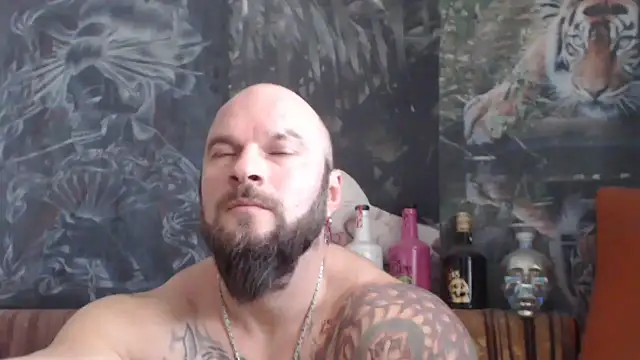 viking 30 online show from 11.26.25