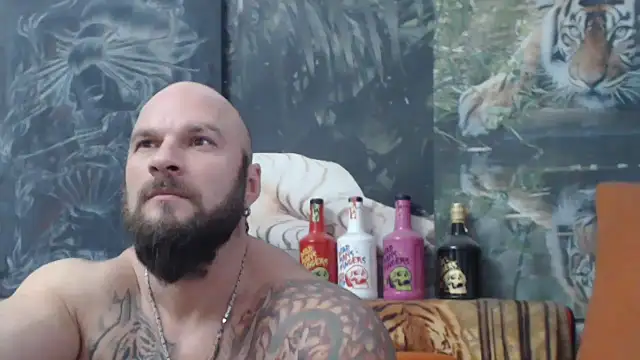 viking 30 online show from 12.01.25