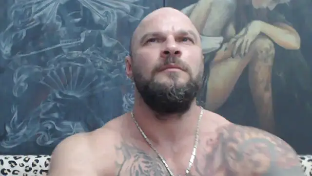 viking 30 online show from 06.30.26