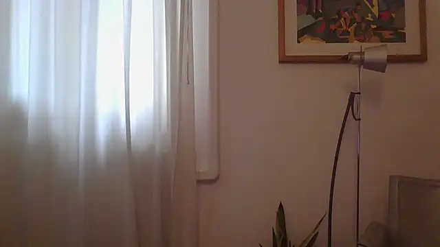 Snapshot of ANONIMO7735 chatting on 03.12.25 ANONIMO7735 online show from 03.12.25