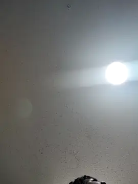 Snapshot of 6lue6a6y69 chatting on 12.22.24 6lue6a6y69 online show from 12.22.24