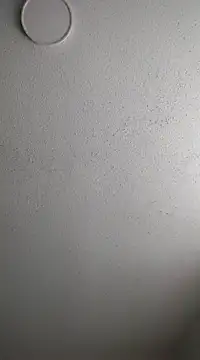 Snapshot of 6lue6a6y69 chatting on 02.03.25 6lue6a6y69 online show from 02.03.25