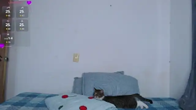 Snapshot of valen_thompson chatting on 03.01.26 valen thompson online show from 03.01.26