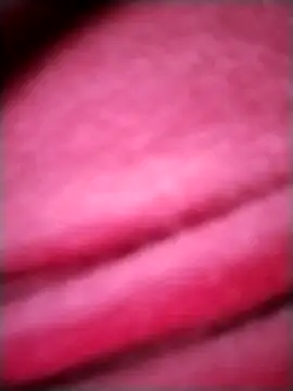 EvaCristal online show from 11.28.25