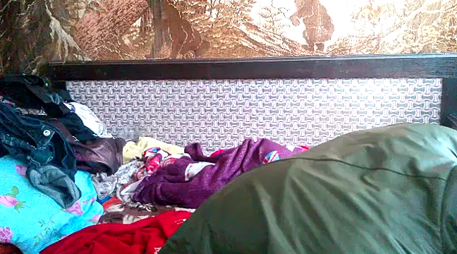 WildMissNiks online show from 03.11.25