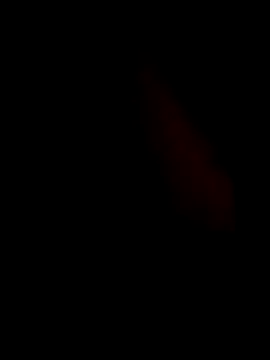 Snapshot of guilherme205 chatting on 02.07.26 guilherme205 online show from 02.07.26