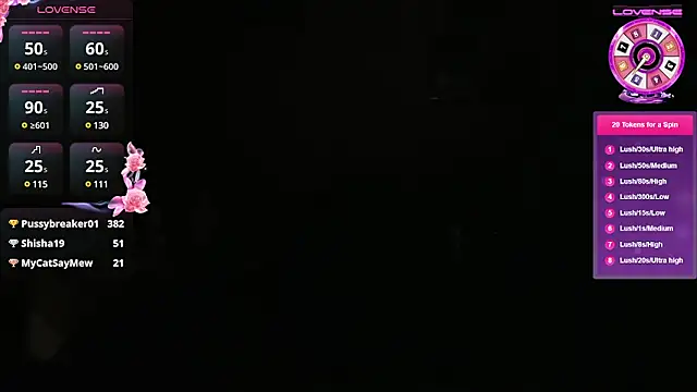 Snapshot of KindKristy chatting on 01.24.25 KindKristy online show from 01.24.25