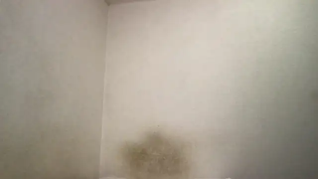 Snapshot of Magicwordsforme chatting on 03.15.25 Magicwordsforme online show from 03.15.25