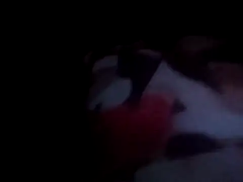 PrinceNoAlbert online show from 12.15.24