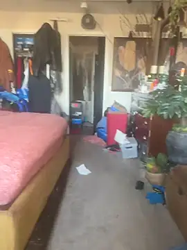 PrinceNoAlbert online show from 03.13.26