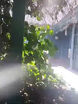 Snapshot of sofy_alone chatting on 01.02.25 sofy alone online show from 01.02.25