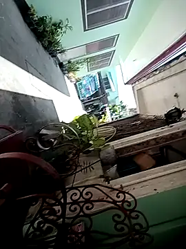 TropicalFlower online show from 10.16.25