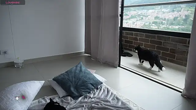 Veronica ar online show from 02.12.25