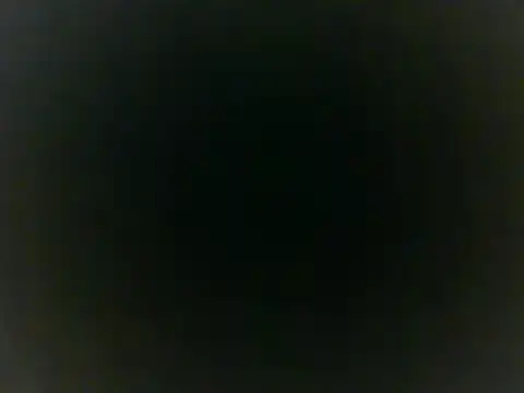 Snapshot of Insomniacl chatting on 02.05.25 Insomniacl online show from 02.05.25