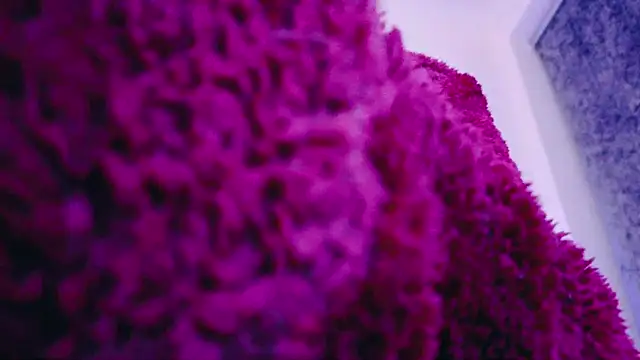 FemDom RubyKnightXXO online show from 03.18.25