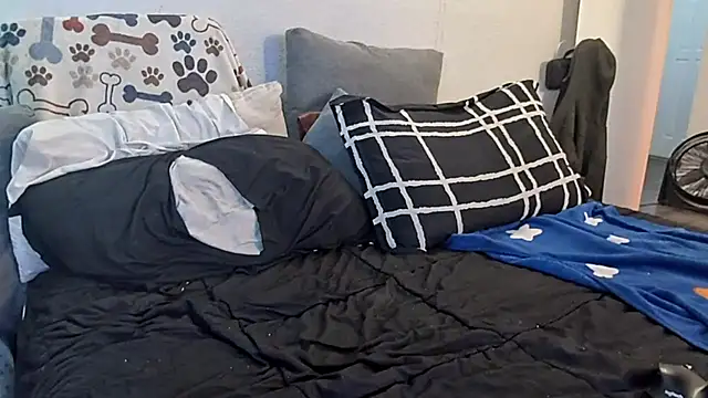 Snapshot of pyrowuff chatting on 01.19.26 pyrowuff online show from 01.19.26