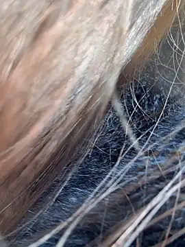 Sara Slow online show from 04.21.26