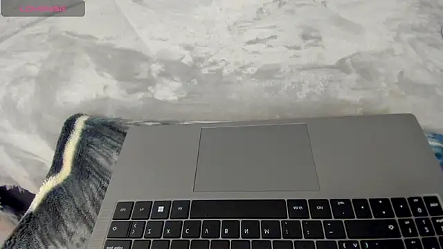 Dephne   online show from 12.04.25