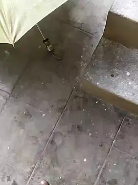 Snapshot of rameshmry1 chatting on 12.12.24 rameshmry1 online show from 12.12.24