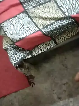 Snapshot of rameshmry1 chatting on 01.21.25 rameshmry1 online show from 01.21.25