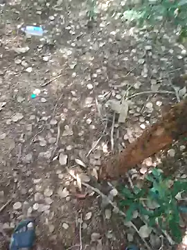 Snapshot of rameshmry1 chatting on 02.21.26 rameshmry1 online show from 02.21.26