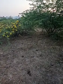 Snapshot of rameshmry1 chatting on 03.05.26 rameshmry1 online show from 03.05.26