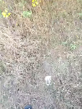 Snapshot of rameshmry1 chatting on 03.21.26 rameshmry1 online show from 03.21.26