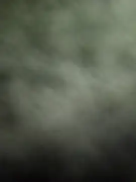 Prince R9 online show from 01.22.25