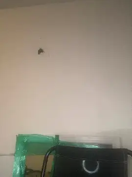 Snapshot of Foreignthababyy chatting on 01.13.26 Foreignthababyy online show from 01.13.26