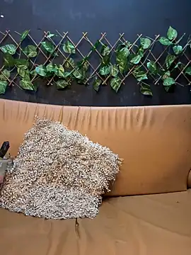 uma patna000 online show from 01.12.25