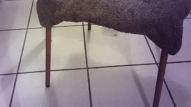 Snapshot of Sanchez8586 chatting on 12.28.24 Sanchez8586 online show from 12.28.24