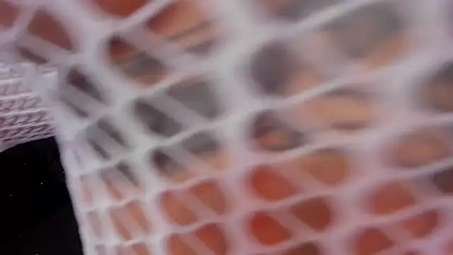 rosalia-04 online show from 11.10.25