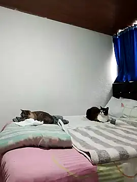 Vicky Rosse online show from 11.01.25