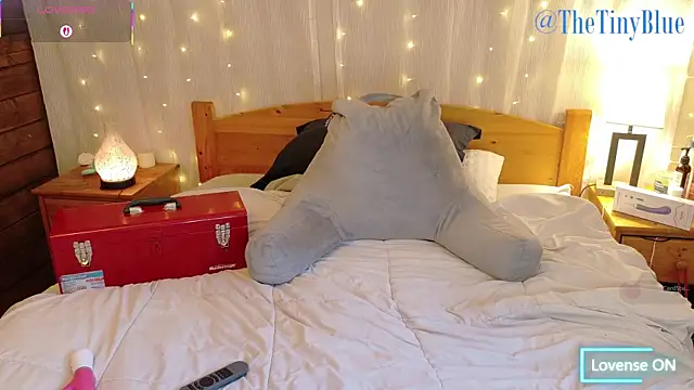 Snapshot of thetinyblue chatting on 03.27.26 thetinyblue online show from 03.27.26