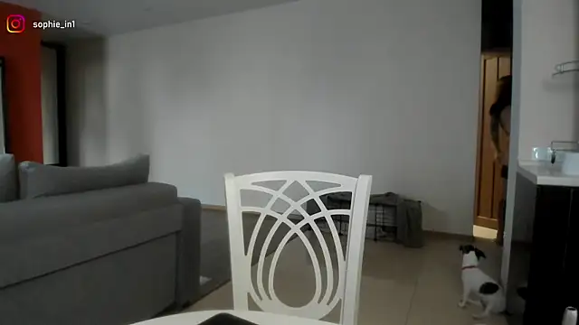  in yan online show from 02.18.26