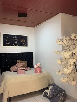 Snapshot of Ambar_pe_ chatting on 11.04.25 Ambar pe online show from 11.04.25