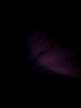 Sines21 online show from 06.12.26