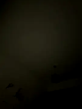 1Aleks13 online show from 11.12.25