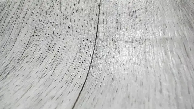 Snapshot of LittleSonya chatting on 12.15.25 LittleSonya online show from 12.15.25