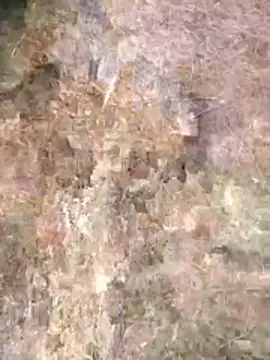 FinableKnee online show from 04.24.26