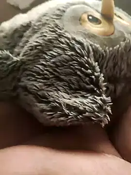 Snapshot of faphouse186582 chatting on 01.24.25 faphouse186582 online show from 01.24.25