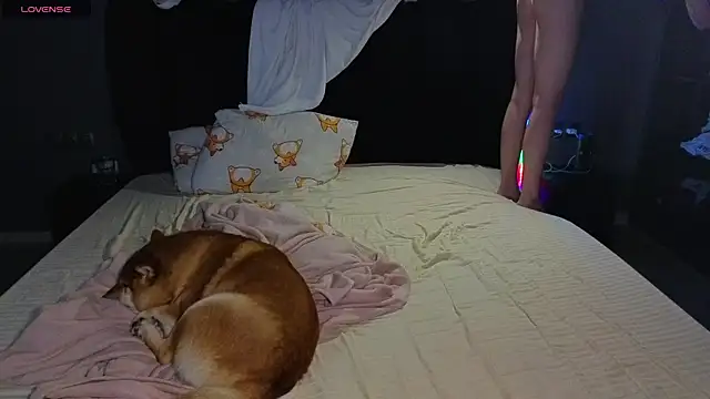 SexyCocobutt online show from 06.24.26
