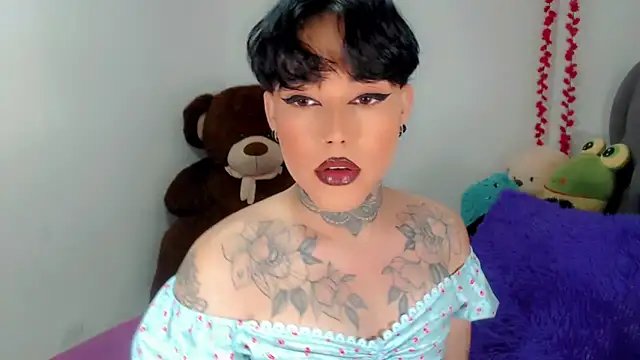 little star porn online show from 11.19.25