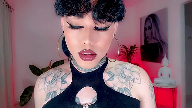 little star porn online show from 11.29.25