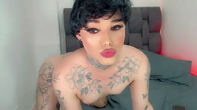 little star porn online show from 06.05.26