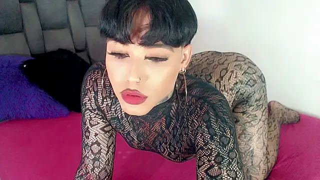 little star porn online show from 06.14.26