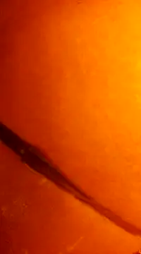 k lebannon online show from 12.31.24