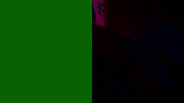 PUSSYundBAER online show from 12.21.25