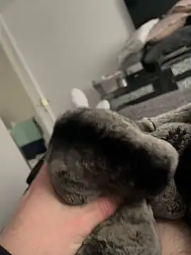 Snapshot of Furdale chatting on 02.10.25 Furdale online show from 02.10.25