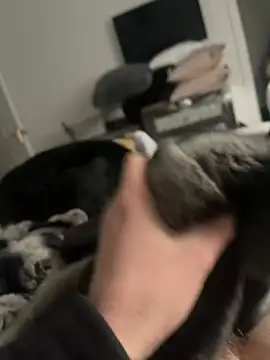 Snapshot of Furdale chatting on 02.16.25 Furdale online show from 02.16.25